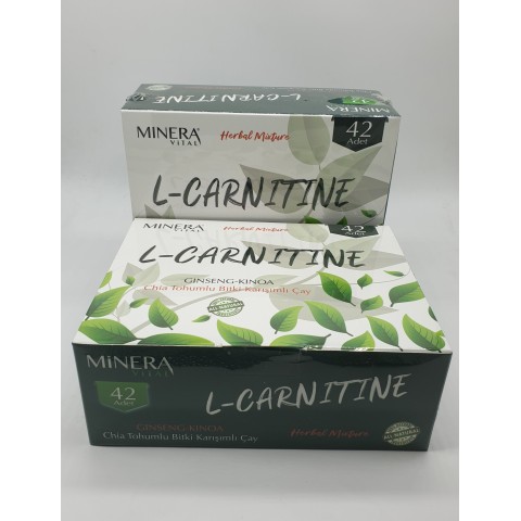 L-Carnitine Ginseng Kinoa Chia Tohumlu Bitki Çayı 2 Kutu 