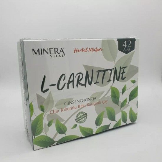 L-Carnitine Ginseng Kinoa Chia Tohumlu Bitki Çayı 