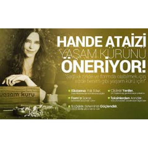 Yaşam Kürü